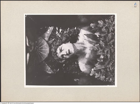 Vorderseite von bh267814_recto