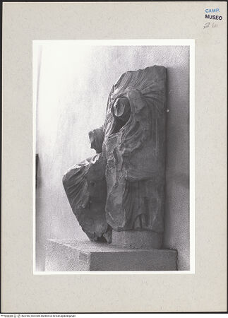 Vorderseite von Pace, Valentino [https://www.deutsche-digitale-bibliothek.de/content/lizenzen/rv-ez/] Statue Friedrichs II. - Seitenansicht von rechts, bh267852_recto. Foto: Pace, Valentino.