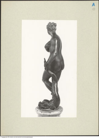 Vorderseite von bh268002_recto