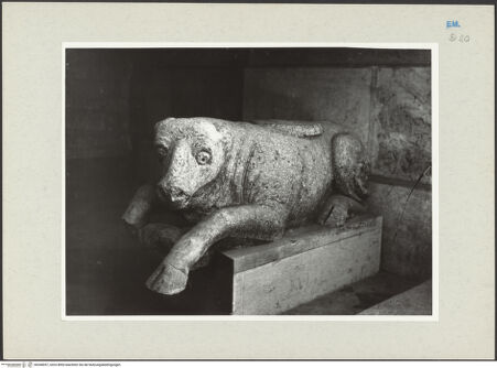 Vorderseite von bh268057_recto