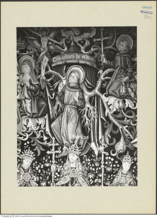 Vorderseite von bh268161_recto