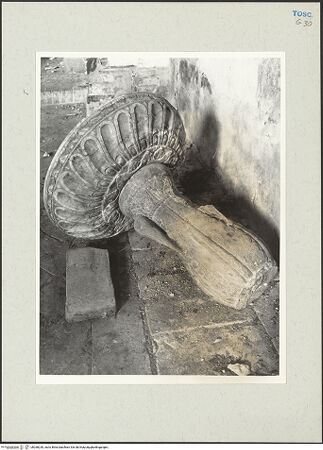 Vorderseite von bh268230_recto