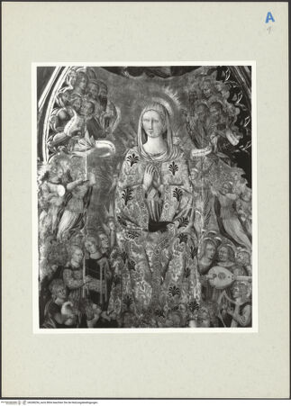 Vorderseite von bh268254_recto