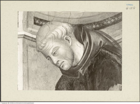 Vorderseite von bh268486_recto