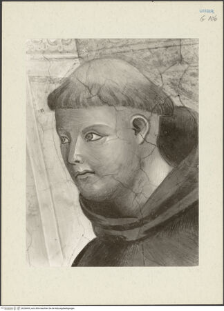 Vorderseite von bh268499_recto