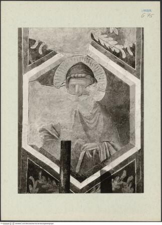 Vorderseite von bh268507_recto