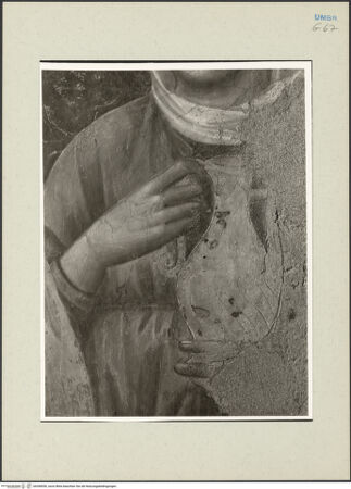 Vorderseite von bh268550_recto