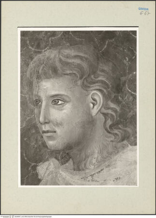 Vorderseite von bh268551_recto