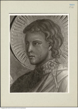 Vorderseite von bh268554_recto