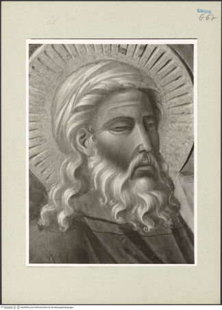 Vorderseite von bh268555_recto