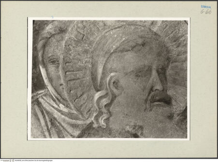 Vorderseite von bh268558_recto