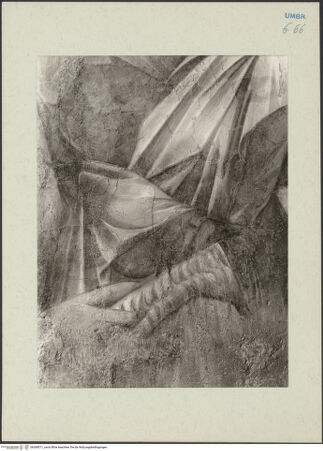 Vorderseite von bh268571_recto