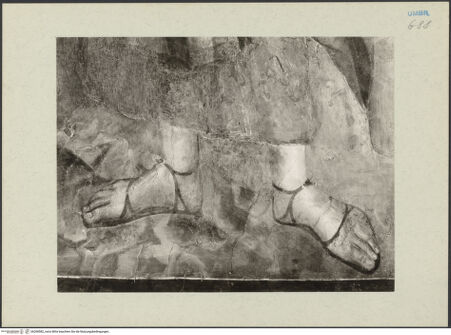 Vorderseite von bh268582_recto