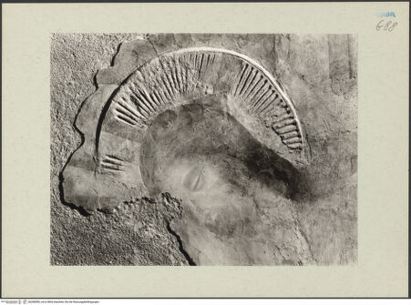 Vorderseite von bh268585_recto