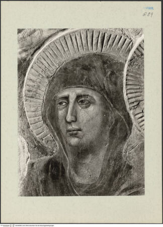 Vorderseite von bh268588_recto