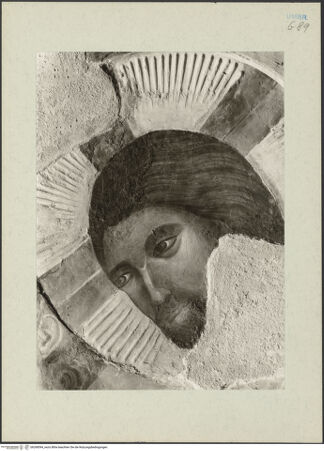 Vorderseite von bh268594_recto