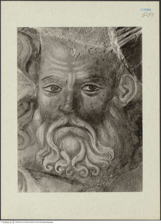 Vorderseite von bh268596_recto