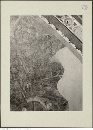 Vorderseite von bh268611_recto