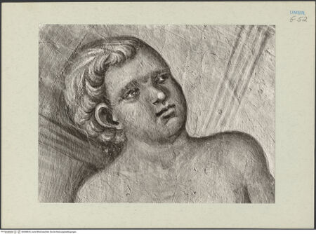 Vorderseite von bh268622_recto