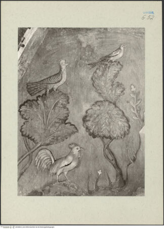 Vorderseite von bh268623_recto