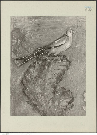 Vorderseite von bh268624_recto