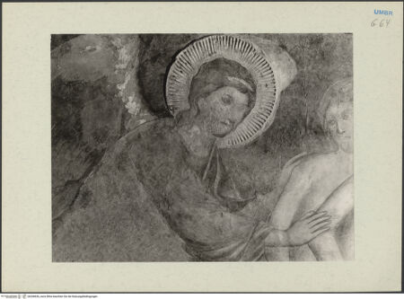 Vorderseite von bh268636_recto