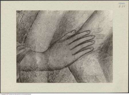 Vorderseite von bh268638_recto