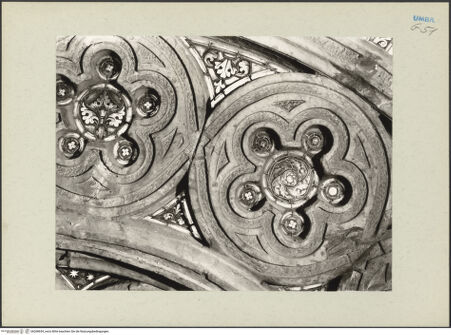 Vorderseite von bh268654_recto