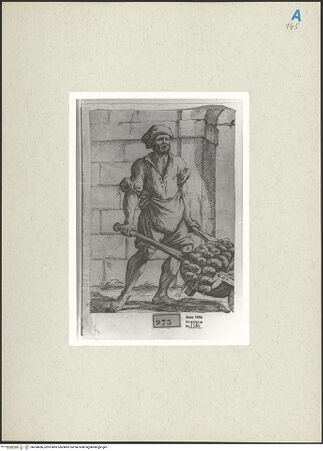 Vorderseite von bh268686_recto