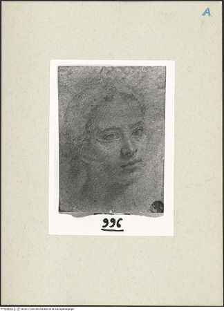 Vorderseite von bh268721_recto