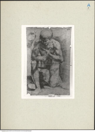 Vorderseite von bh268724_recto