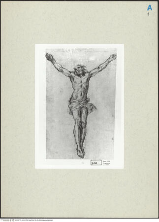 Vorderseite von bh268735_recto