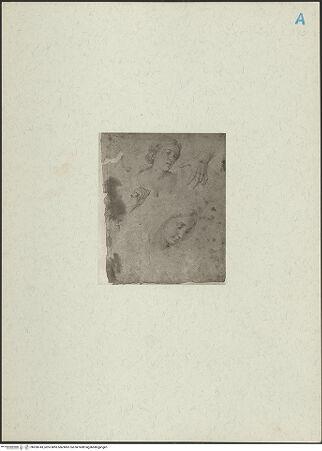 Vorderseite von bh268743_recto