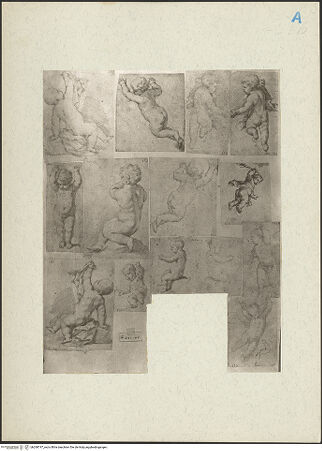 Vorderseite von bh268747_recto