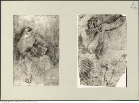 Vorderseite von bh268761_bh268762_recto