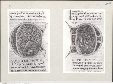 Vorderseite von bh268875_bh268874_recto