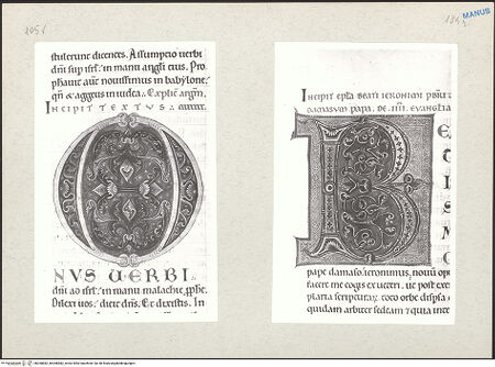 Vorderseite von bh268882_bh268883_recto