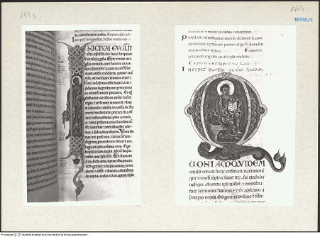 Vorderseite von bh268884_bh268885_recto