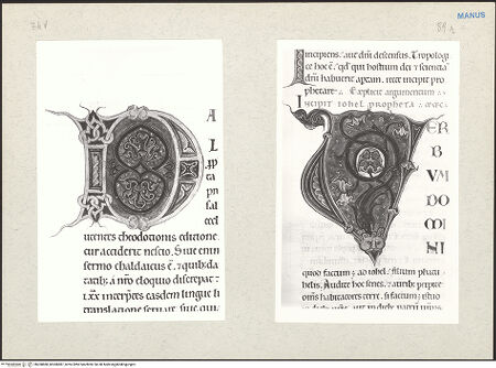 Vorderseite von bh268888_bh268887_recto