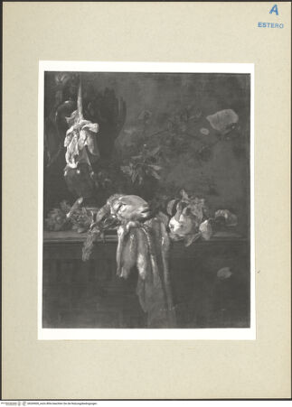 Vorderseite von bh269000_recto