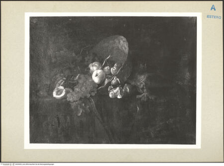 Vorderseite von bh269005_recto