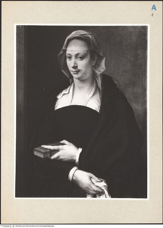 Vorderseite von bh269043_recto