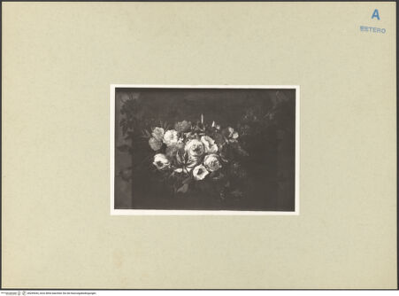 Vorderseite von bh269044_recto