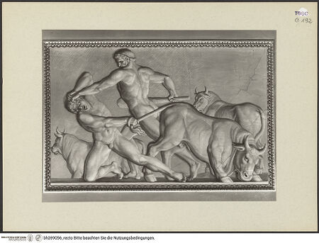 Vorderseite von bh269056_recto