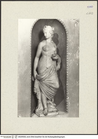 Vorderseite von bh269063_recto