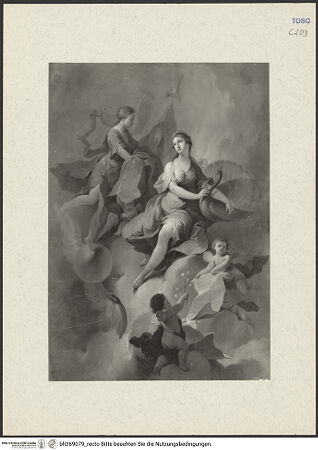 Vorderseite von bh269079_recto