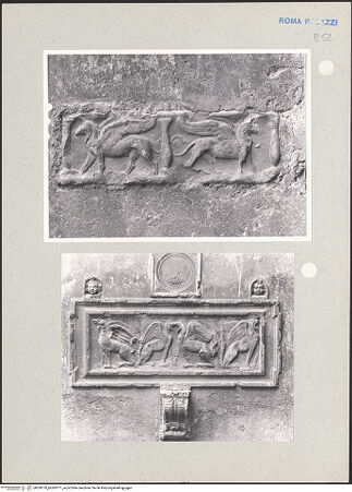 Vorderseite von bh269170_bh269171_recto