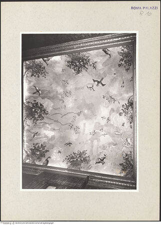 Vorderseite von bh269393_recto