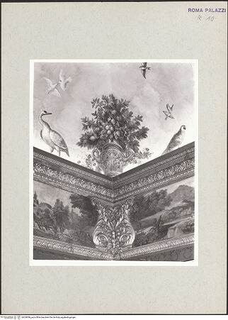 Vorderseite von bh269396_recto