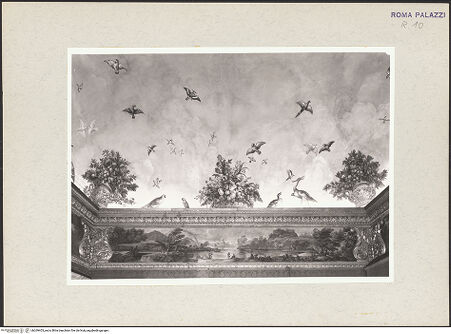 Vorderseite von bh269403_recto